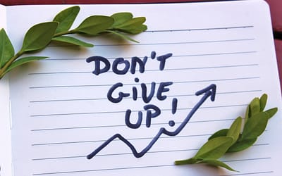 Don’t Give Up: How Perseverance Paved the Way for a Billion-Dollar Dream